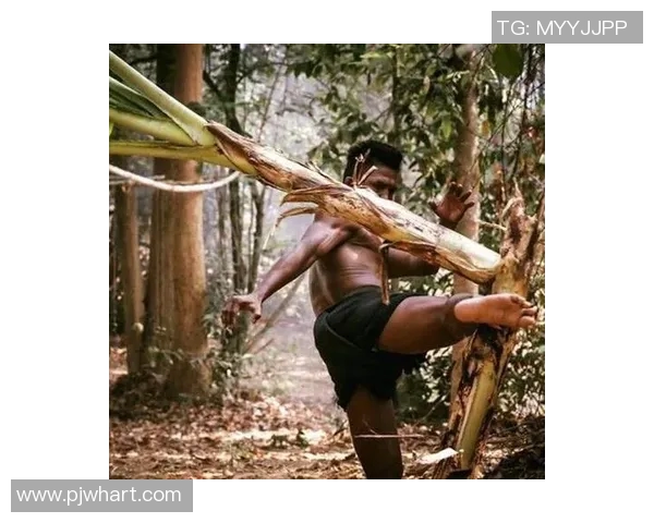 托尼贾与播求的巅峰对决谁将成为搏击界的新传奇 托尼贾与播求的巅峰对决谁将成为搏击界的新传奇